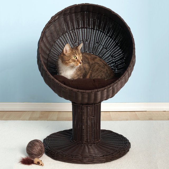 Kitty Ball Cat Bed