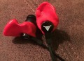 Decibullz Molded Red Earphones