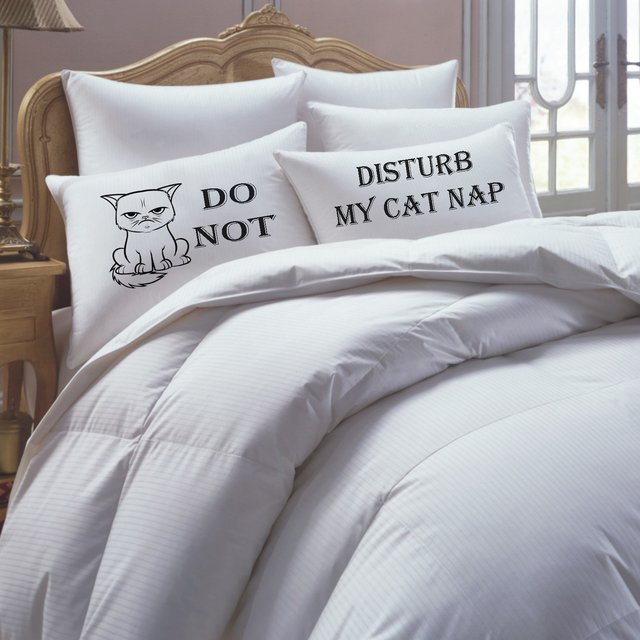 Cat Nap Pillowcase Set