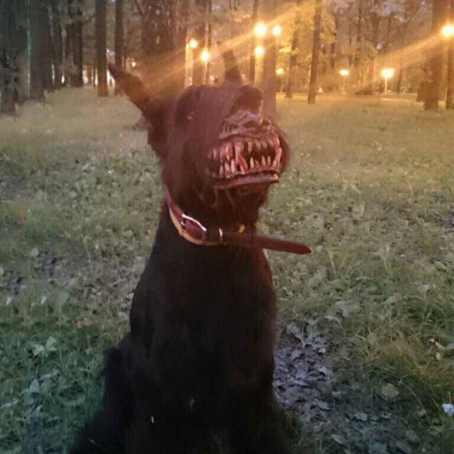 Werewolf Dog Muzzle