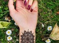 Mandala Temporary Tattoo by Tattify