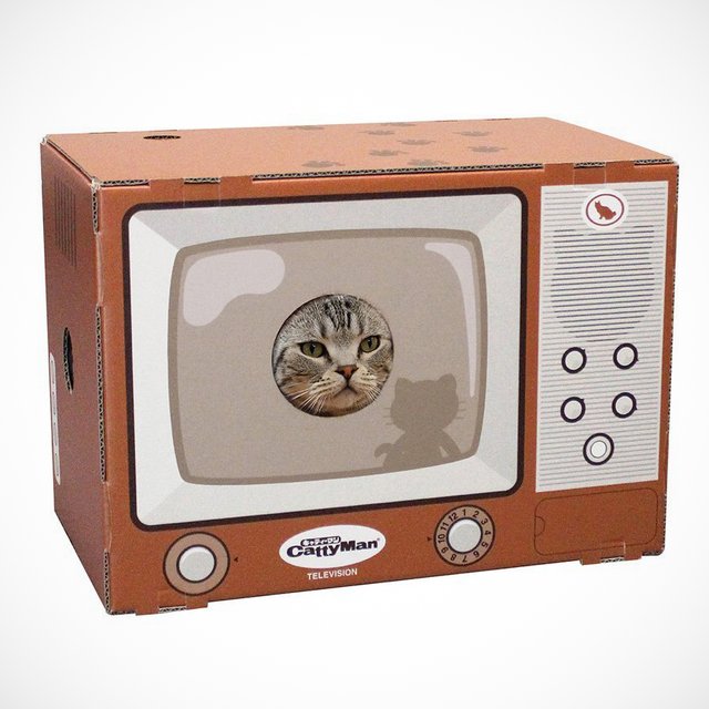 Cat Television Scratch Box