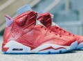 Air Jordan 6 Retro X Slam Dunk