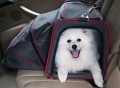 Petsfit Expandable Pet Carrier
