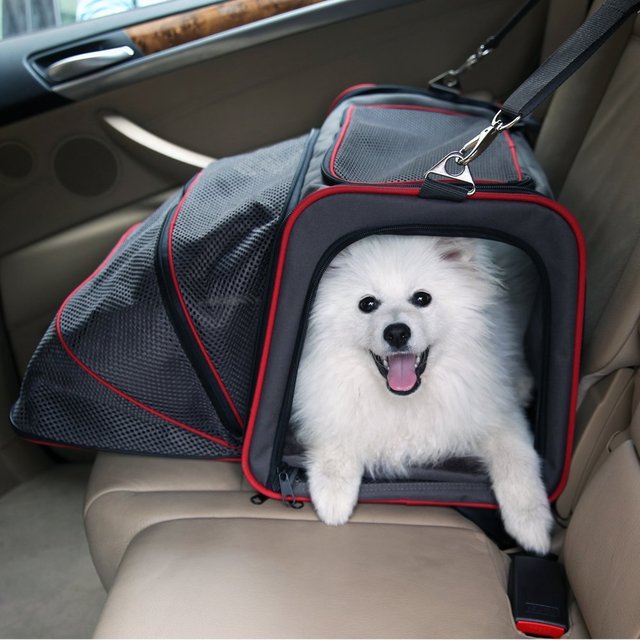 Petsfit Expandable Pet Carrier