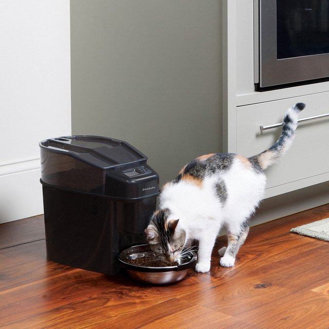 Simply Feed Automatic Pet Feeder