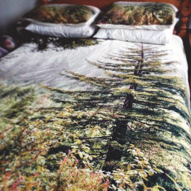 Into the Mist Duvet Cover