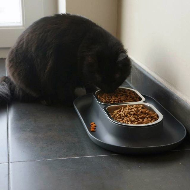 NomNom Crumb Catching Cat Bowl