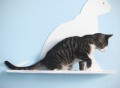 Cat Silhouette Cat Shelf