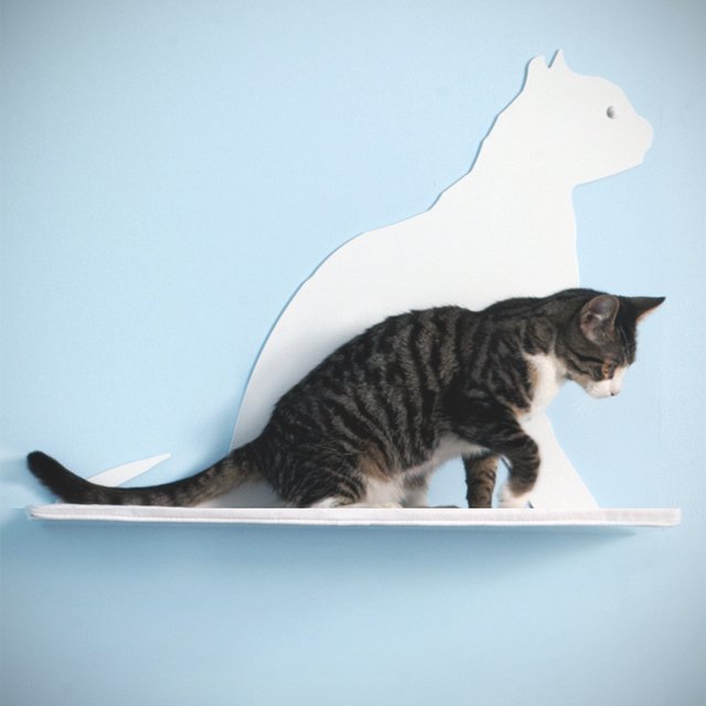 Cat Silhouette Cat Shelf