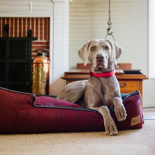 Houndstooth Lounge Bed by P.L.A.Y.