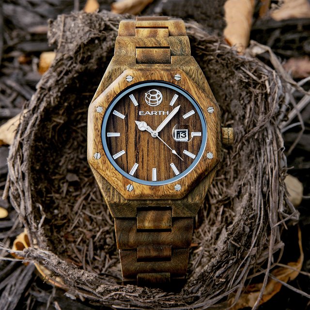 Earth Wood Medullary Ray Watch