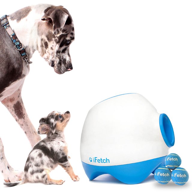 iFetch Too Interactive Ball Launcher