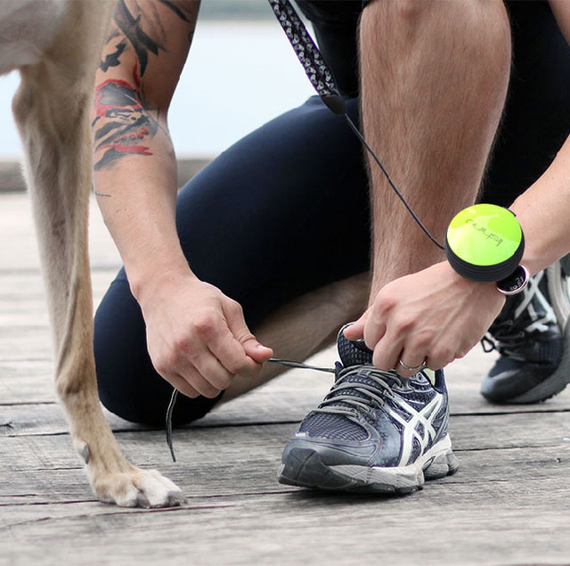 Lishinu Hands-Free Dog Leash