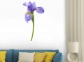 Purple Iris Wall Decal