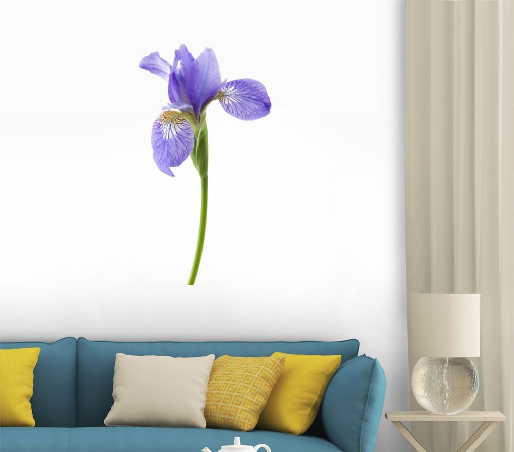 Purple Iris Wall Decal