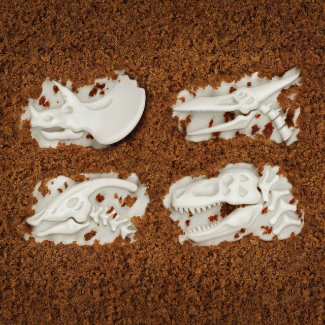 Fossil Food Cupcake Molds