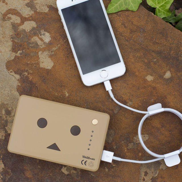 Power Plus DANBOARD External Battery Pack by cheero