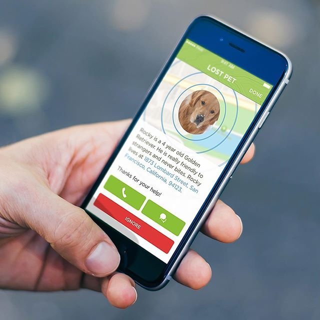 Pawscout Pet Tracker