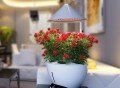 iGrow LED Indoor Hydroponics Garden Herb Auto Growing Kit
