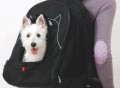 Pet at Work Travel Backpack by Petego