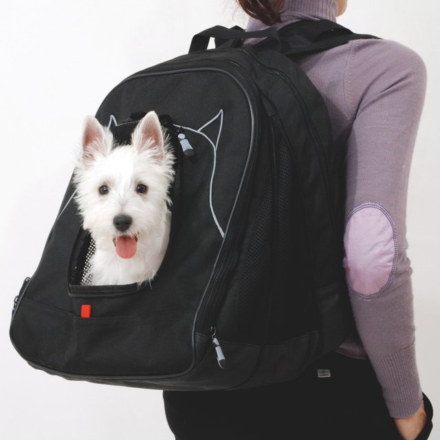 Pet at Work Travel Backpack by Petego