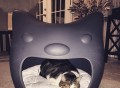 Kitty Meow Cat Bed