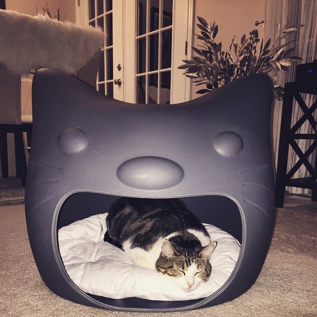 Kitty Meow Cat Bed