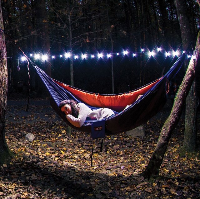 LED String Twilights by Eagles Nest Outfitters