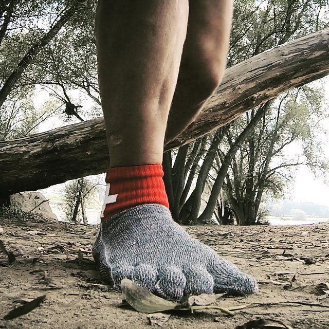 FYF Barefoot Socks