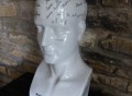 Phrenology Head