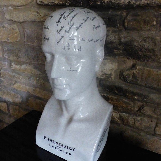 Phrenology Head