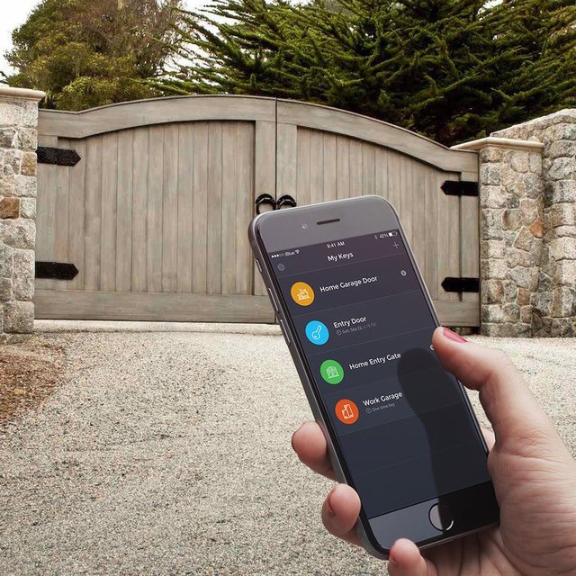 iBlue Smart Gate