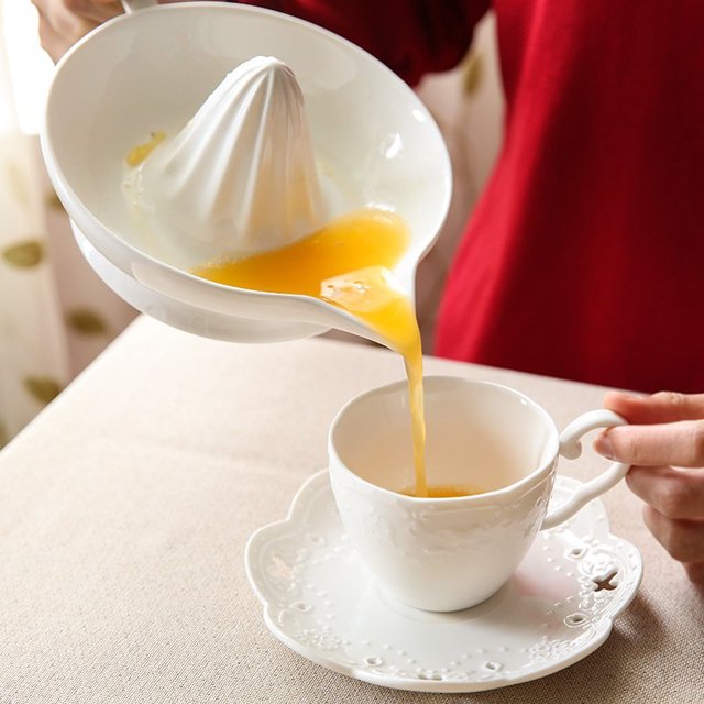 Citrus Juicer Reamer with Handle