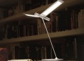 Seagull LED Desk Lamp