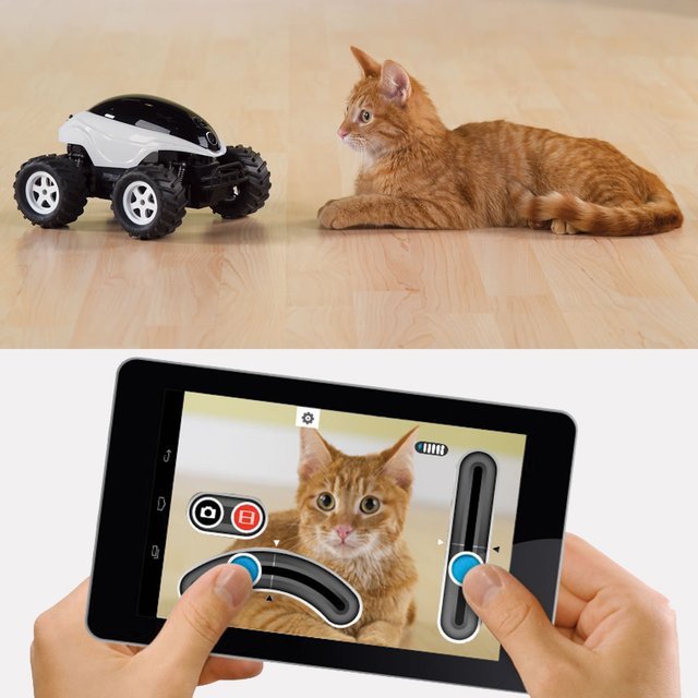 Live Video Feed RC Buggy