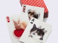 Cat Playing Cards by Kikkerland