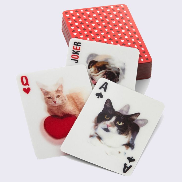 Cat Playing Cards by Kikkerland