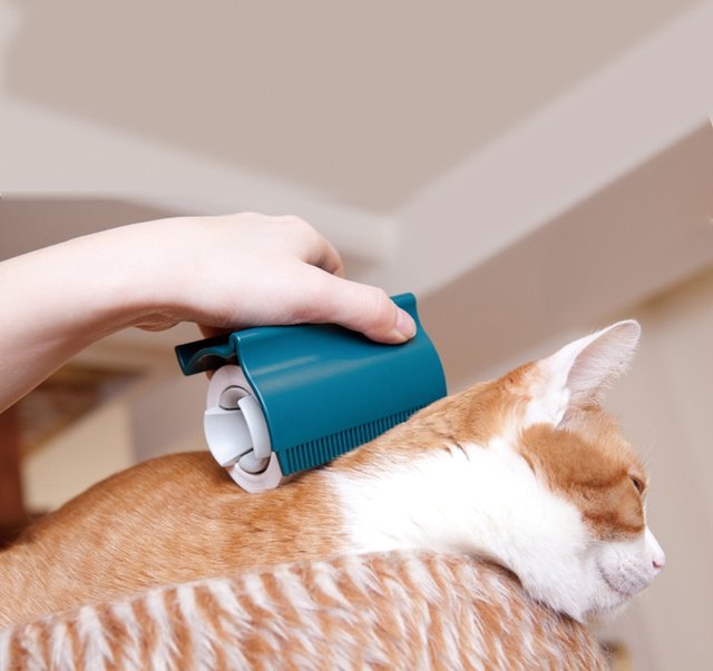 Oppo Groomo Cat Brush