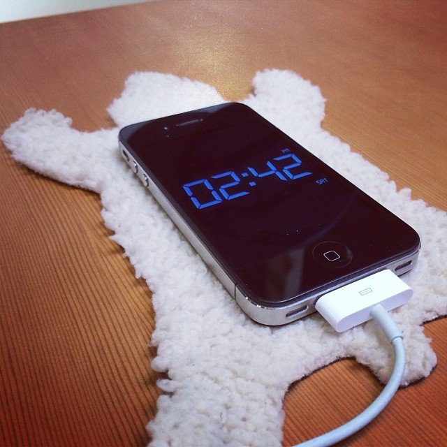 Snoozz Hibernation Rug Charging Station