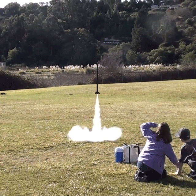 Flying Rocket by Estes