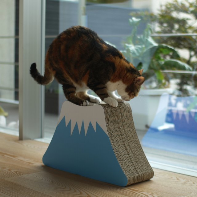 Mt Fuji Nyan Cat Scratching Post