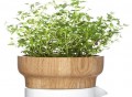 Fix Herb Pot by Sagaform