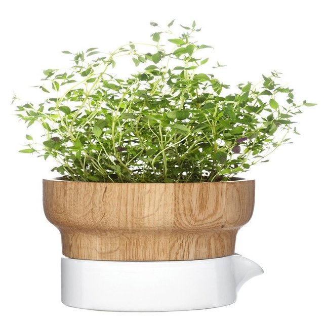 Fix Herb Pot by Sagaform