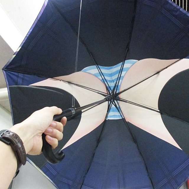 Upskirt Umbrella