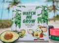 Watch Me Grow AvoSeedo Book Set