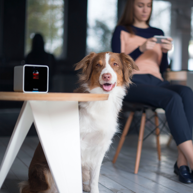 Petcube Interactive Wi-Fi Pet Camera