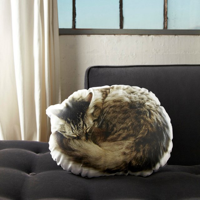 Sleeping Cat Pillow by In the Seam