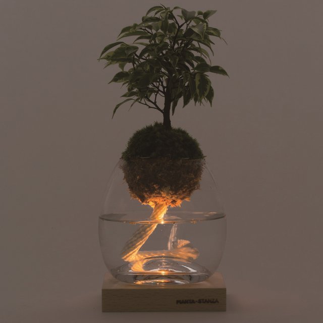 Torch Plant Light Botanical Candle