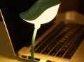 Bird USB LED Keyboard Light